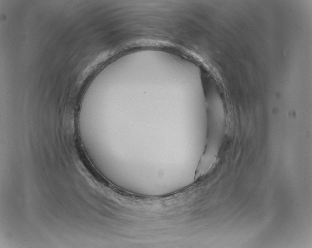 X0000060580015200511241352