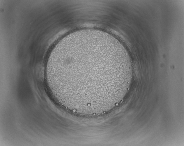 X0000060580016200511241352