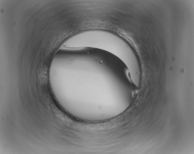 X0000060580017200511241352