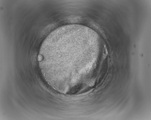 X0000060580018200511241352