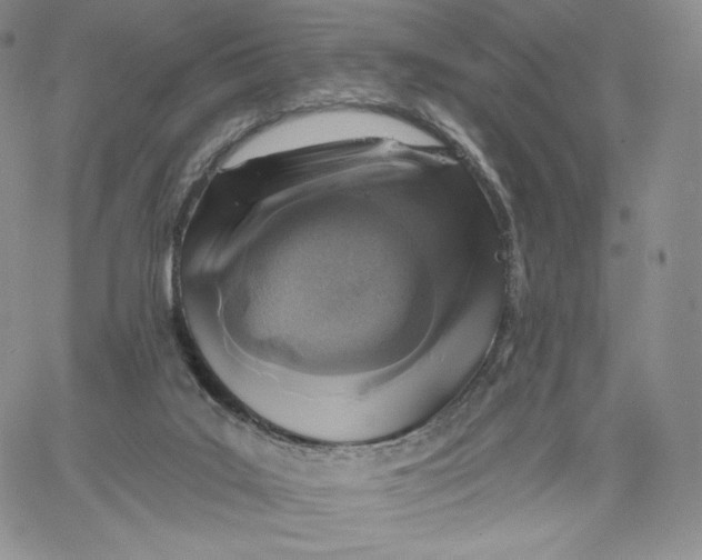 X0000060580019200511241352