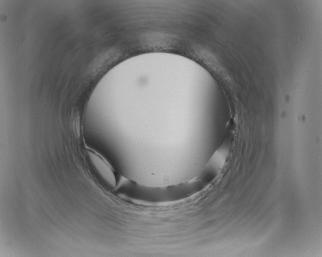 X0000060580021200511241352