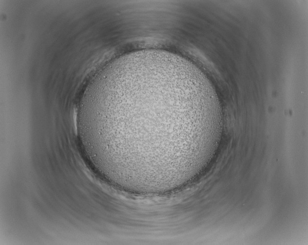 X0000060580022200511241352