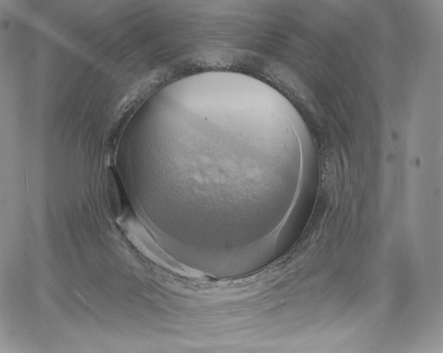 X0000060580023200511241352