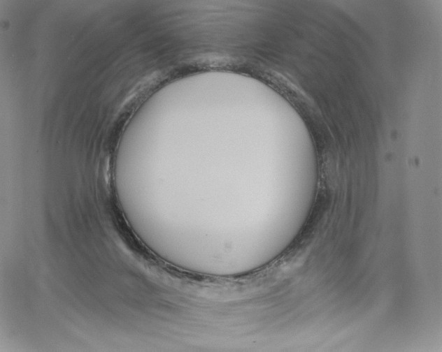 X0000060580024200511241352