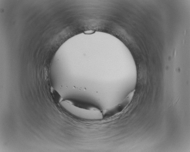 X0000060580025200511241352