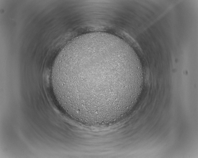 X0000060580026200511241352