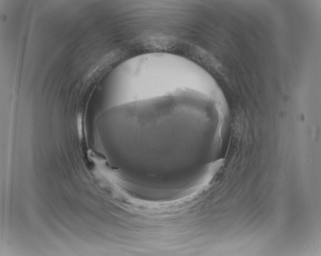 X0000060580027200511241352