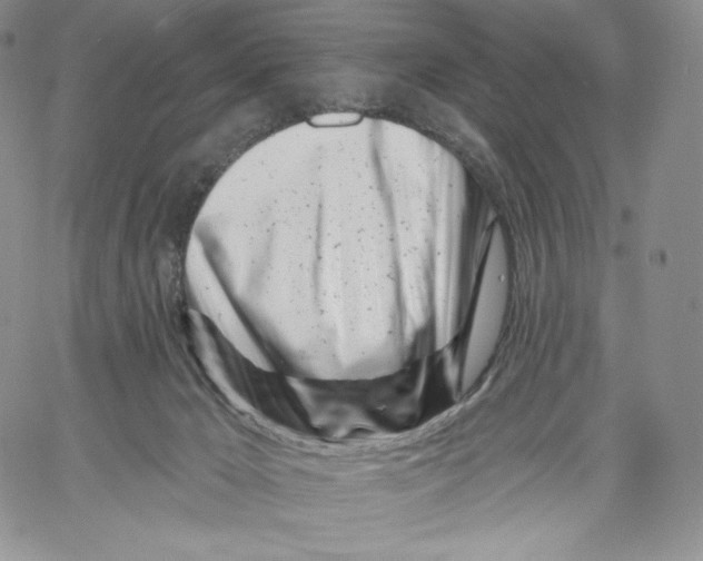 X0000060580029200511241352