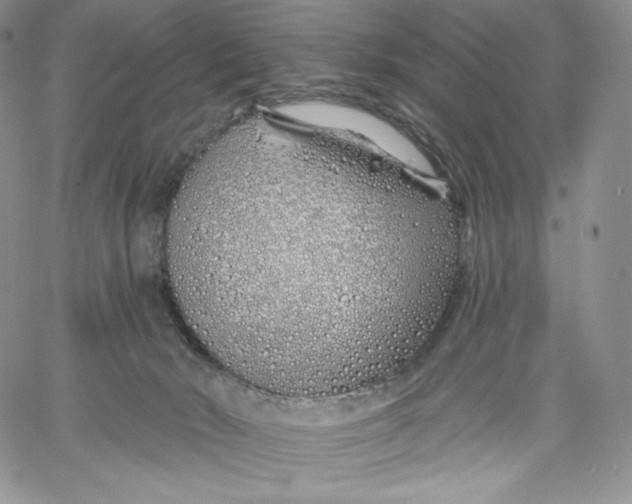 X0000060580030200511241352