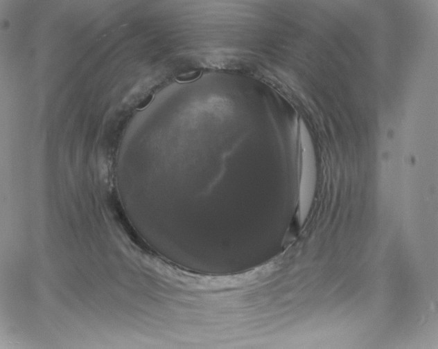 X0000060580031200511241352