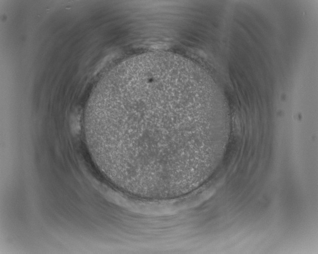 X0000060580032200511241352