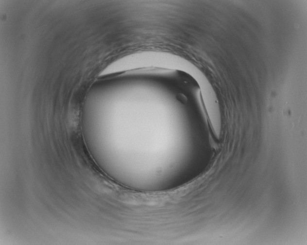 X0000060580033200511241352