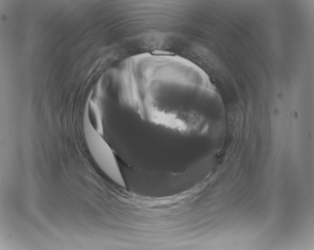 X0000060580035200511241352