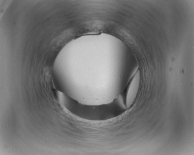 X0000060580037200511241352