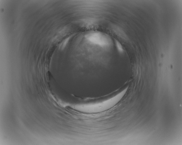 X0000060580039200511241352