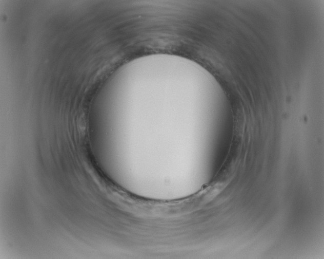 X0000060580040200511241352