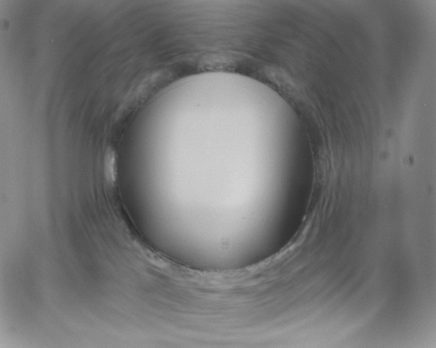 X0000060580041200511241352