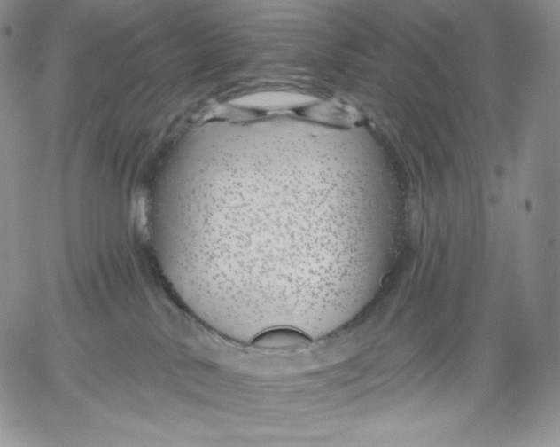 X0000060580042200511241352