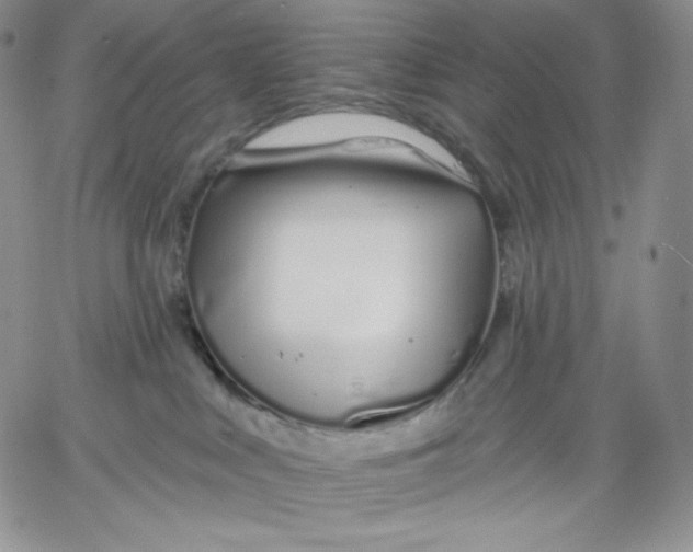 X0000060580043200511241352