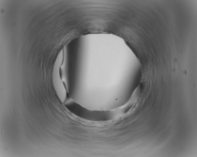 X0000060580045200511241352