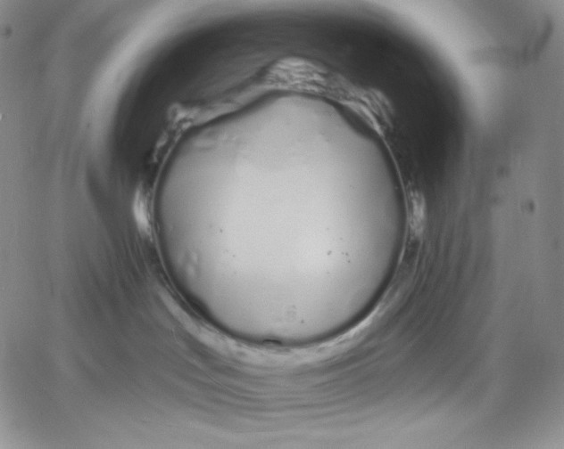 X0000060580047200511241352