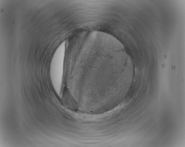 X0000060580048200511241352