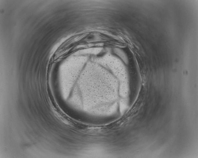 X0000060580052200511241351