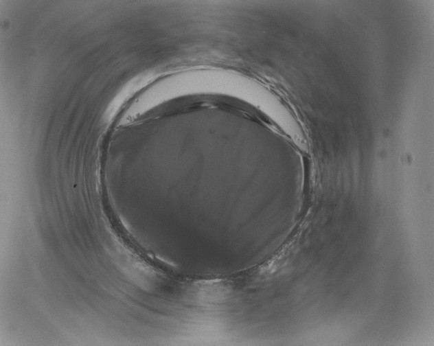 X0000060580054200511241351