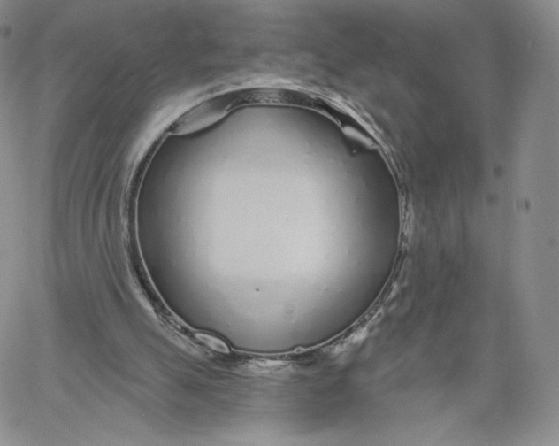 X0000060580055200511241351