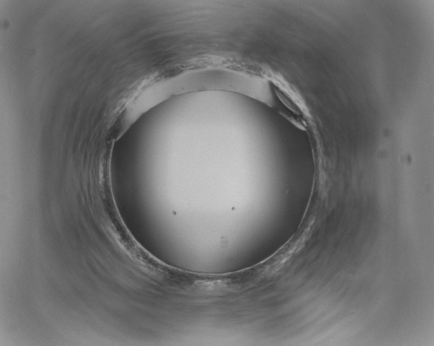 X0000060580057200511241351