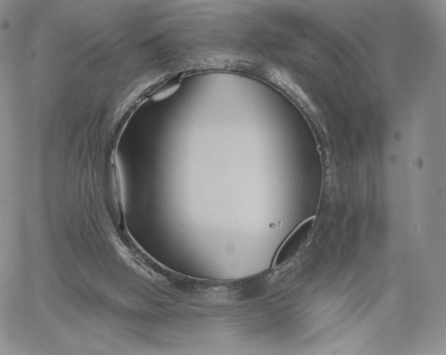 X0000060580058200511241351