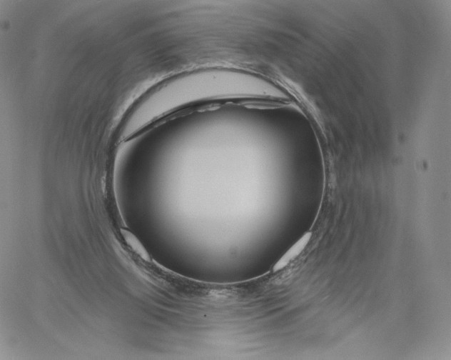 X0000060580060200511241351