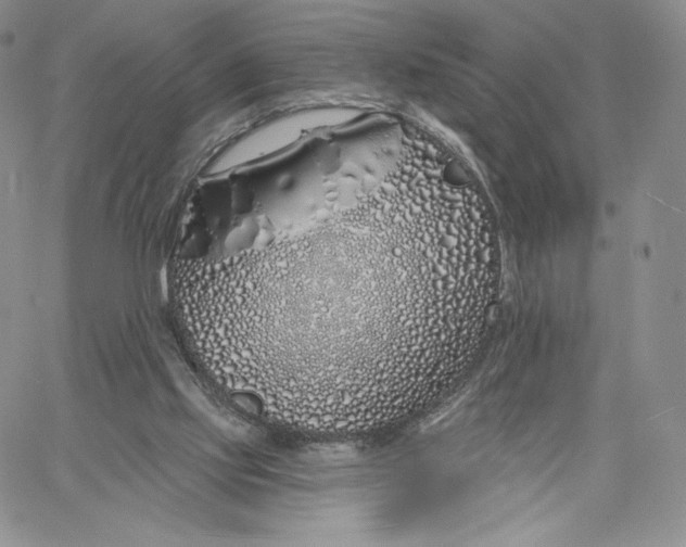 X0000060580061200511241351