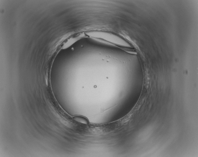 X0000060580062200511241351