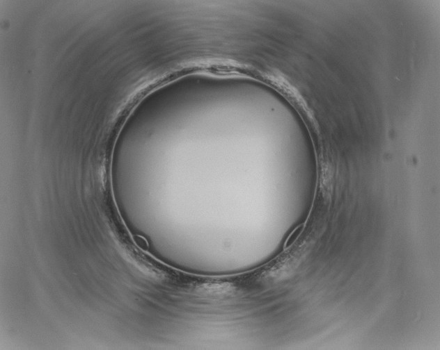 X0000060580063200511241351