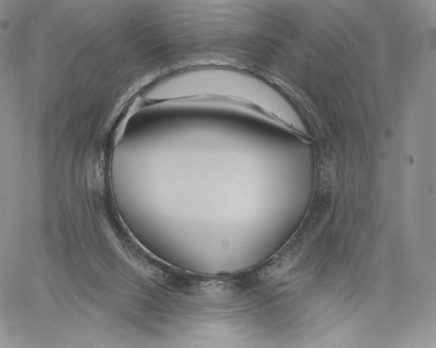 X0000060580064200511241351