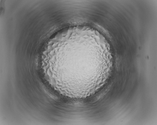 X0000060580065200511241351