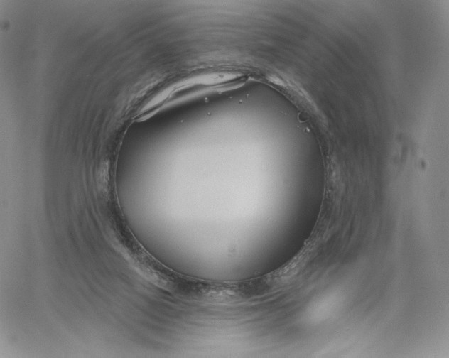 X0000060580066200511241351