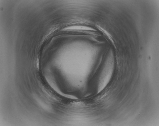 X0000060580067200511241351