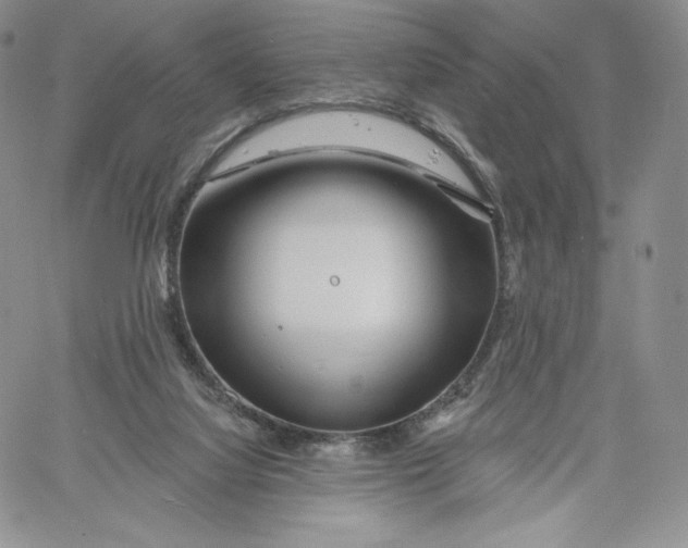 X0000060580068200511241351