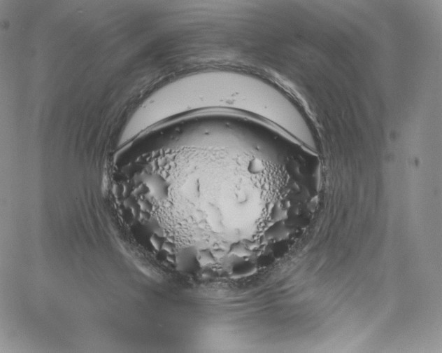 X0000060580069200511241351