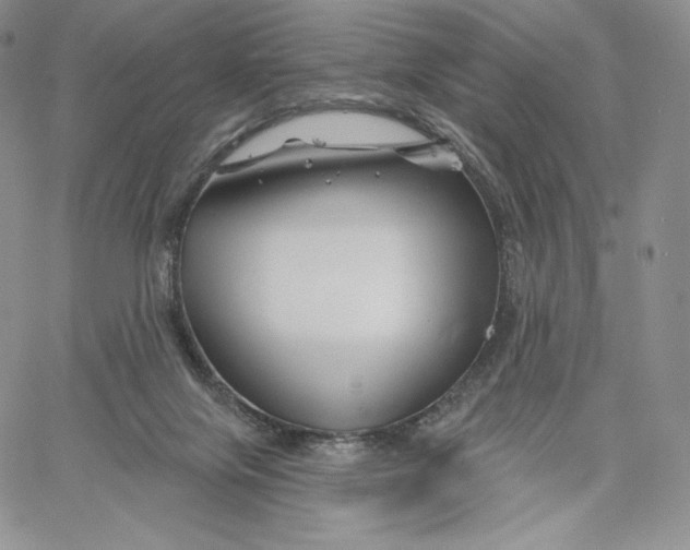 X0000060580071200511241352