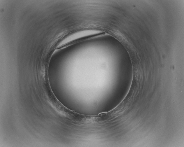 X0000060580072200511241352