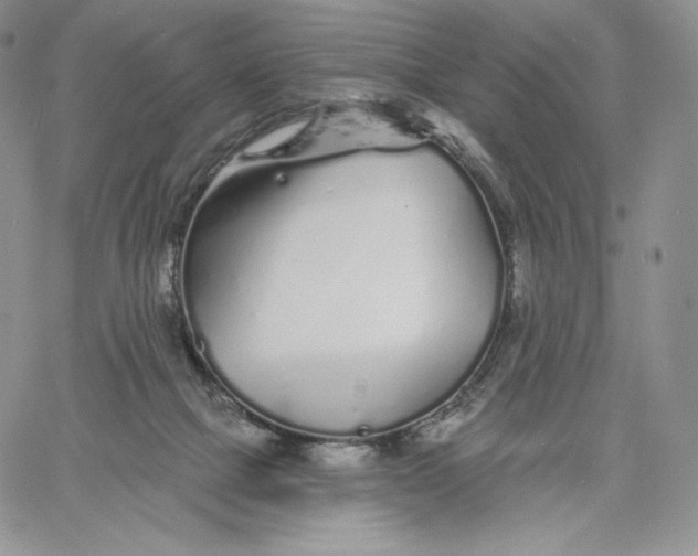 X0000060580073200511241352