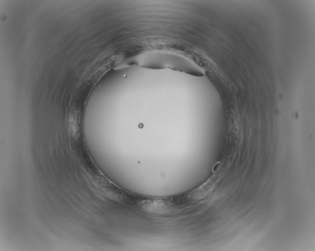 X0000060580074200511241352