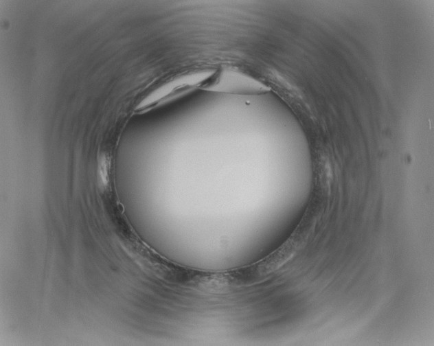 X0000060580075200511241352