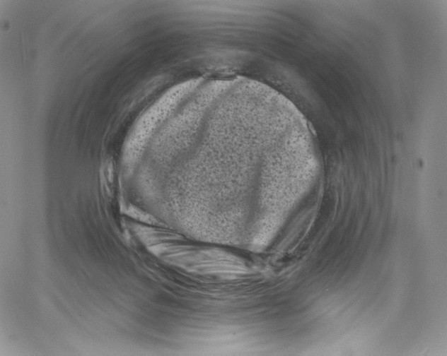 X0000060580076200511241352