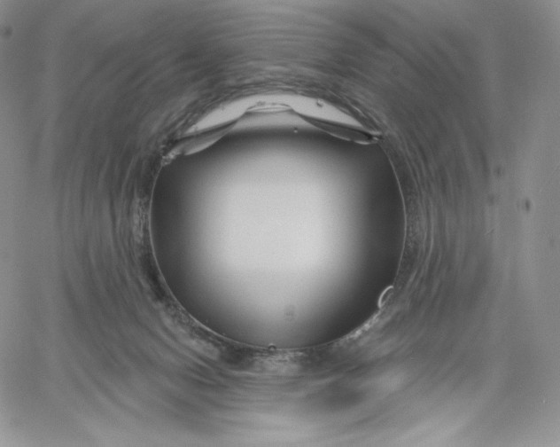 X0000060580078200511241352