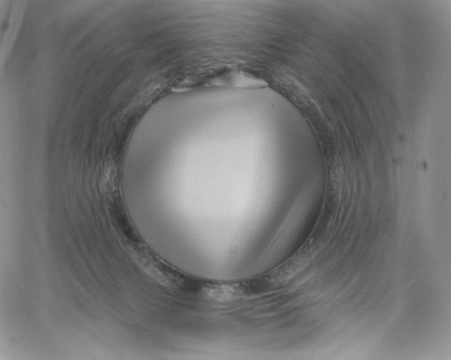 X0000060580079200511241352